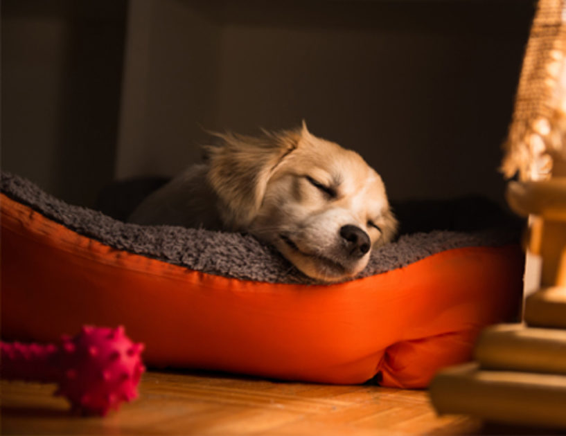 5 tips for a quiet central vacuum Drainvac